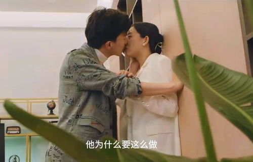 短剧弃婚之龙帅逆袭短剧完整版 短剧弃婚之龙帅逆袭短剧完整版--第1张