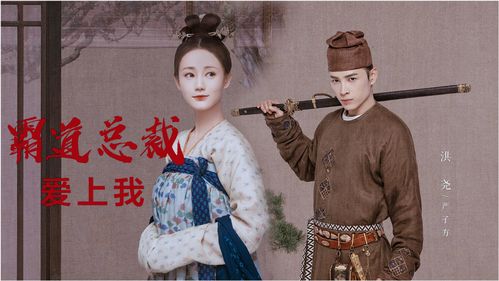 短剧穿越古代当驸马短剧完整版 短剧穿越古代当驸马完整版--第1张