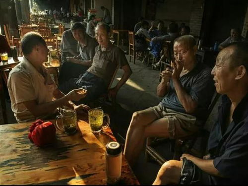 短剧AA淘金年代短剧完整版 短剧AA淘金年代短剧完整版--第1张