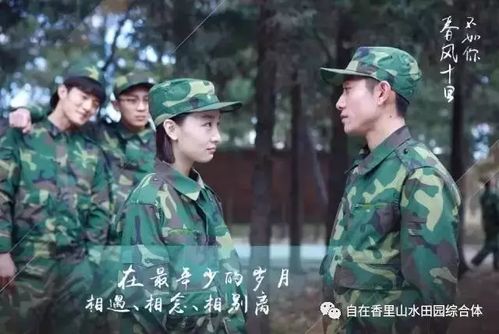短剧十里春风不如你短剧完整版 短剧十里春风不如你 短剧完整版--第1张