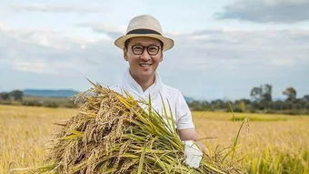 短剧靠种地成为首富短剧完整版 短剧靠种地成为首富完整版--第1张