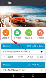 全国交通违章查询网官网_全国交通违章查询服务平台--第1张