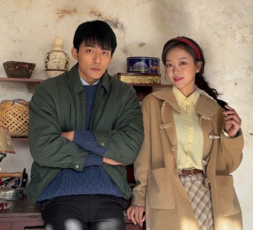 短剧消失的主妇短剧完整版 短剧消失的主妇，短剧完整版--第1张