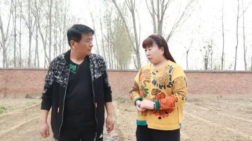 短剧携子归来姜岚的复仇短剧完整版 短剧携子归来姜岚的复仇完整版--第1张
