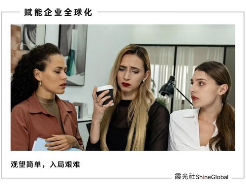 短剧一夜暴富短剧完整版 一夜暴富短剧完整版--第1张