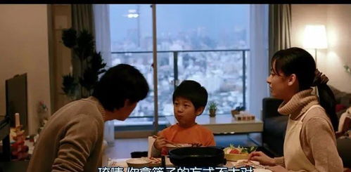 短剧错位人生短剧完整版 错位人生短剧完整版--第1张