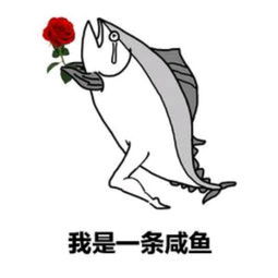短剧我嫁给了一条咸鱼短剧完整版 短剧我嫁给了一条咸鱼完整版--第1张