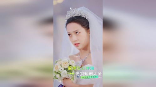 短剧闪婚秘书带崽出逃短剧完整版 短剧闪婚秘书带崽出逃短剧完整版--第1张