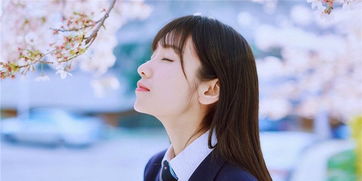 短剧龙帝的女人我摊牌了我的老公是龙帝短剧完整版 短剧龙帝的女人我摊牌了我的老公是龙帝完整版--第1张
