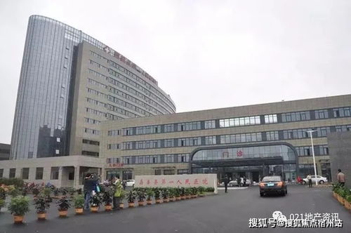 短剧重生后我扬名立万短剧完整版 短剧重生后我扬名立万 短剧完整版--第1张