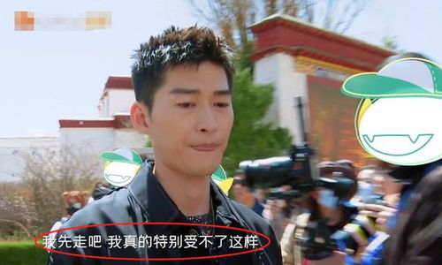短剧薄爷夫人马甲又掉了短剧完整版 短剧薄爷夫人马甲又掉了！完整版来袭，惊喜不断！--第1张