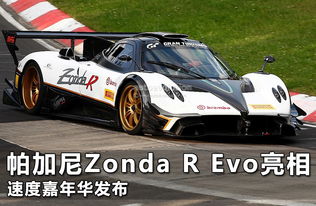 帕加尼zondar多少钱_帕加尼zonda多少钱一辆--第1张