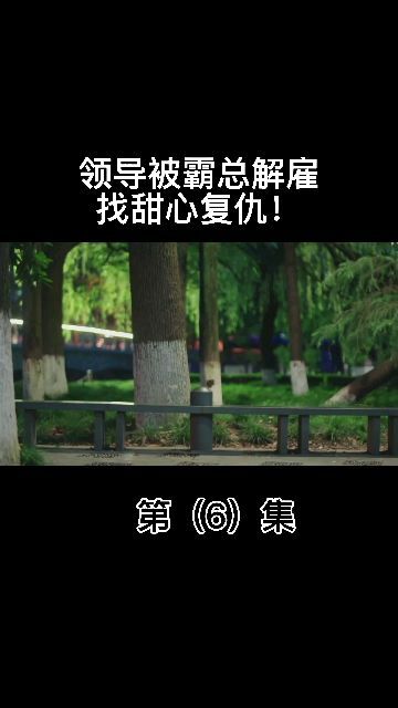 短剧一不小心捡到爱短剧完整版 短剧一不小心捡到爱短剧完整版--第1张