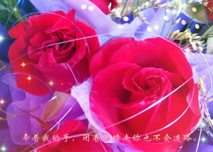 送玫瑰花图片 送玫瑰花图片，浪漫与情感的完美结合--第1张