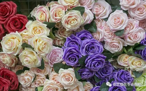 玫瑰花色的寓意和花语 玫瑰花色的寓意与花语--第1张