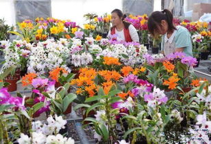 中国花卉产业重点地区 中国花卉产业重点地区，花卉繁荣的绿色经济--第1张