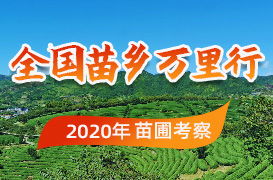 苗木求购信息网站 苗木求购信息网站--第1张