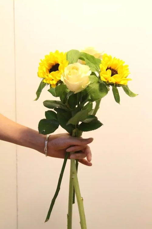父亲节鲜花花束 父亲节鲜花花束--第1张
