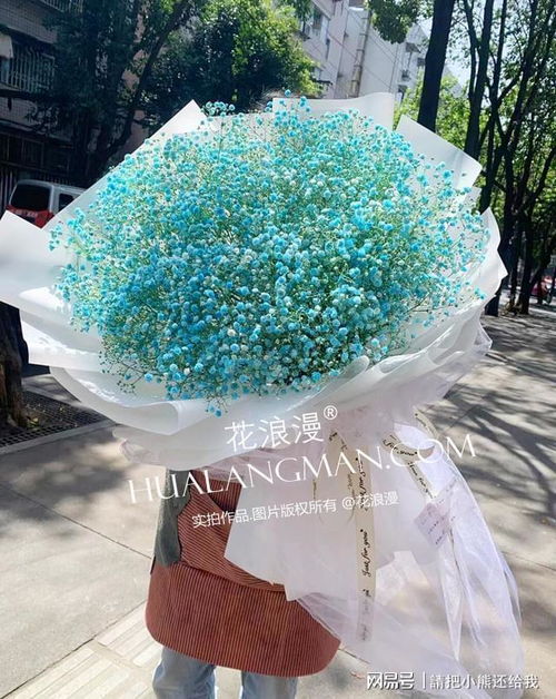 满天星的含义是什么意思 满天星的含义--第1张