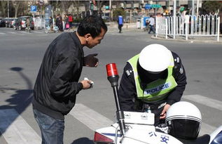 北京交警123123处理违章_北京交警123123处理违章app电话--第1张