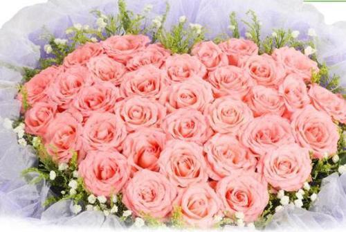33朵玫瑰花数量代表的含义 33朵玫瑰花数量代表的含义--第1张