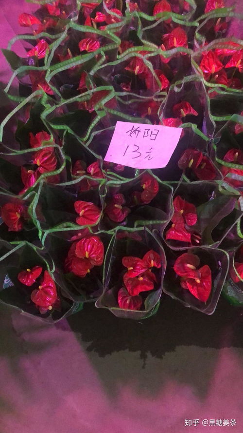 广州鲜花批发市场在哪里批发 广州鲜花批发市场在哪里批发--第1张