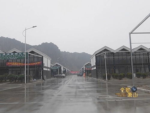 萧山花木城苗木价格表 萧山花木城苗木价格表，了解市场行情，掌握种植秘诀--第1张
