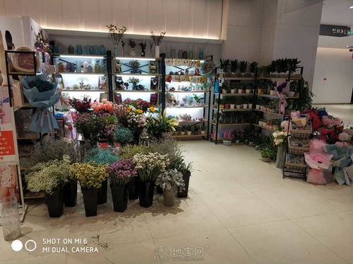 附近花店在哪里地址 附近花店在哪里地址--第1张