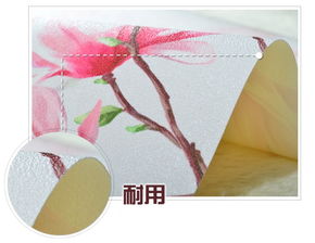 简单又漂亮的玉兰花图片 简单又漂亮的玉兰花图片--第1张