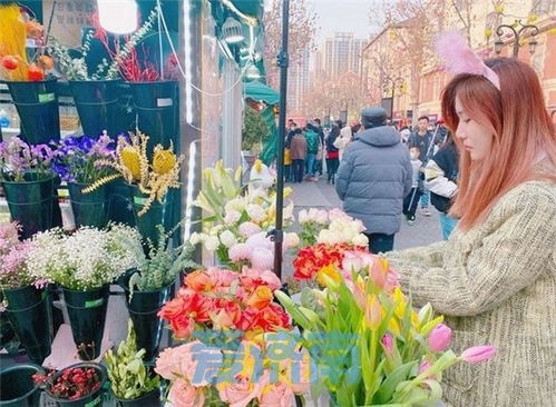 北京市花店 北京市花店，浪漫与艺术的交织--第1张