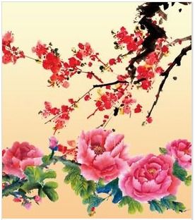 我们国家的国花是什么花 我们国家的国花是什么花--第1张