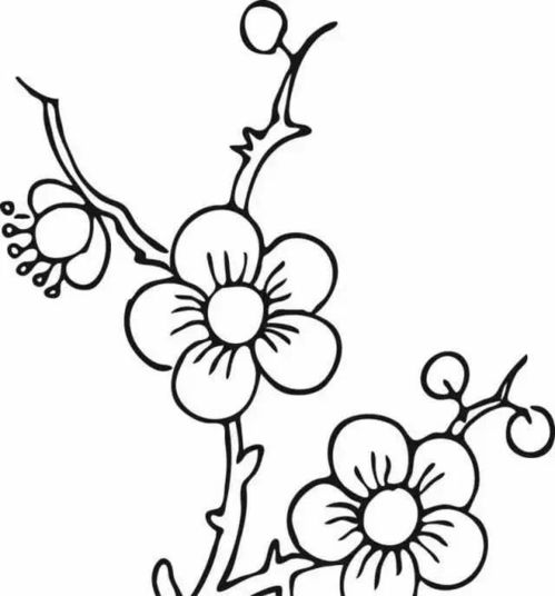 梅花图片简笔画手绘 梅花图片简笔画手绘--第1张