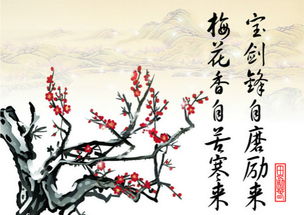 梅花的诗句古诗 梅花的诗句古诗--第1张
