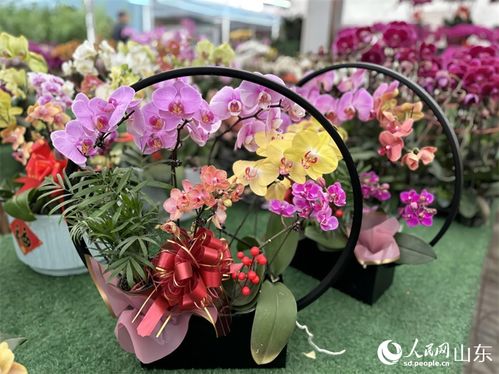 重庆网上订购鲜花 重庆网上订购鲜花，轻松快捷，让鲜花绽放生活--第1张