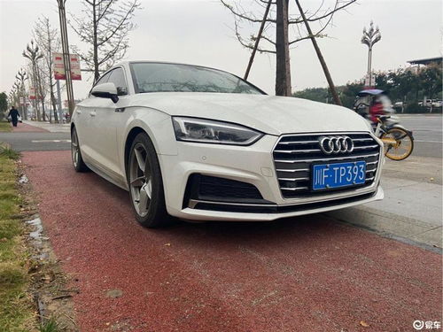 进口奥迪a5_进口奥迪a5口碑--第1张