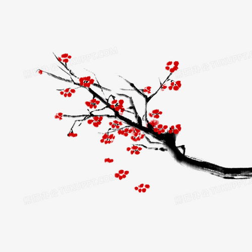 梅花树图片 梅花树图片——冬日里的美丽与坚韧--第1张