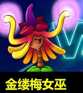 金缕梅女巫 金缕梅女巫，隐藏在传说背后的神秘力量--第1张