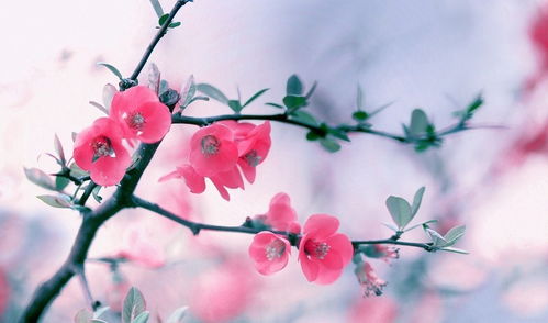 取个独特的花名 取个独特的花名--第1张