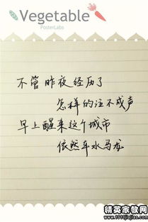 生日赠言八个字 生日赠言，八个字，温暖人心--第1张