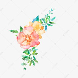 教师节鲜花的图片 教师节鲜花的图片--第1张