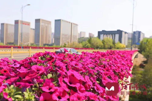 济南网上订购鲜花 济南网上订购鲜花，轻松快捷，品质保证--第1张