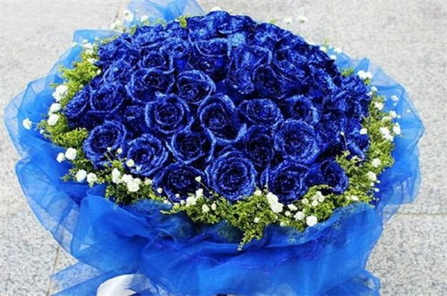 99朵蓝玫瑰花语 99朵蓝玫瑰花语，无尽的爱与深深的祝福--第1张