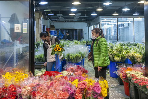 上海十大花卉批发市场 上海十大花卉批发市场--第1张