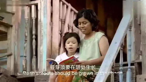 热播短剧萌宝当家爹地妈咪是特工舒童全集完整版在线观看 热播短剧萌宝当家爹地妈咪是特工全集完整版在线观看--第1张