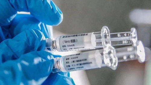 新冠疫苗北京生物_新冠疫苗北京生物是假的吗--第1张