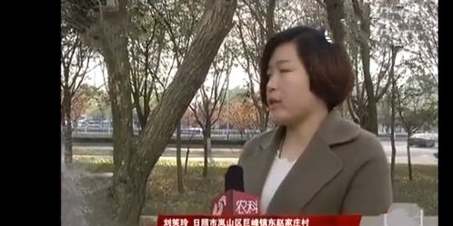 热播短剧季总你认错老婆了远在眼前的你全集完整版在线观看 热播短剧季总，你认错老婆了全集完整版在线观看--第1张
