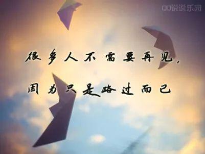 热播短剧拳心拳意的爱全集完整版在线观看 热播短剧拳心拳意的爱全集完整版在线观看--第1张