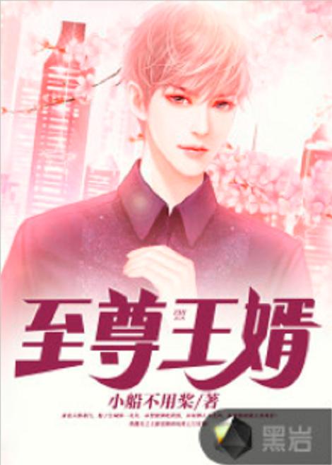 热播短剧至尊丐婿苏寰王青青吴梦媛全集完整版在线观看 热播短剧至尊丐婿全集完整版在线观看--第1张