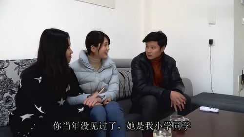 热播短剧真假爱人全集完整版在线观看 热播短剧真假爱人全集完整版在线观看，揭秘爱情背后的真相！--第1张