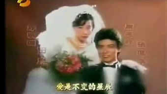 热播短剧昨夜星辰昨夜风林籽蓉全集完整版在线观看 热播短剧昨夜星辰昨夜风林籽蓉全集完整版在线观看--第1张